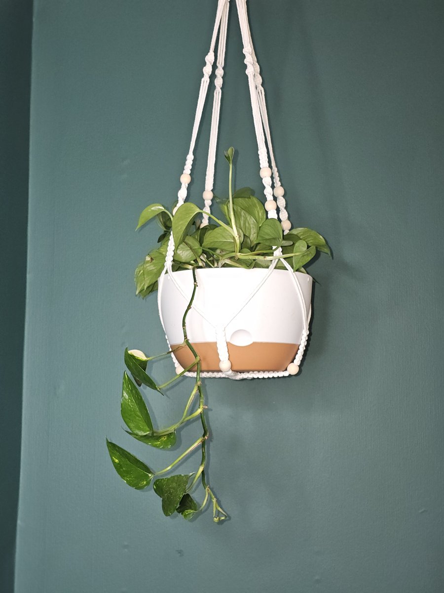 White hanging planter with macrame hanger and trailing pothos